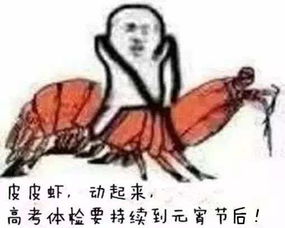 皮皮虾,我们不走,就在这为高考学生体检工作