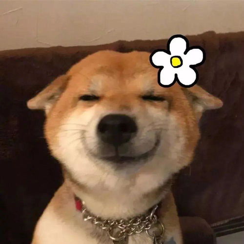 沙雕头像向你奔跑而来
