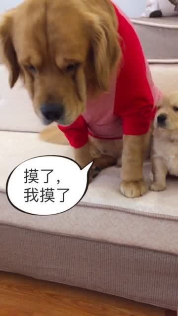 恶搞哈哈哈,那么嫌弃自己的孩子,表情神同步,宝宝29天了