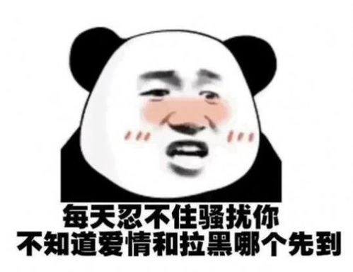 每天骚扰你不知道爱情和拉黑那个先来表情包抖音下载每天骚扰你不知道爱情和拉黑那个先来表情包抖音版大全最新下载v1.0嗨客手机站