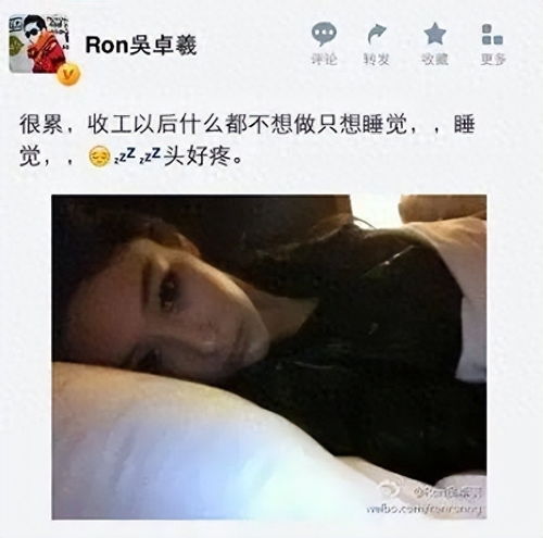 别再猜疑了,一嫁翻身的张馨予,让何捷过上老婆孩子热炕头的生活