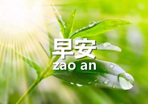 特别好看漂亮的早上好问候动态图片带字微信群早晨好问候语早安图片大全