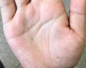 长寿之人的手相,一生不会有大灾大病,福大命更大