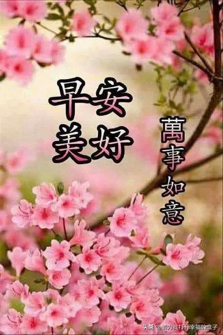 问候心语美图美景分享五十一