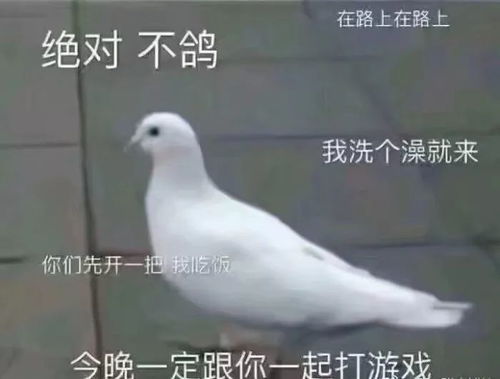 鸽德表情包匆忙
