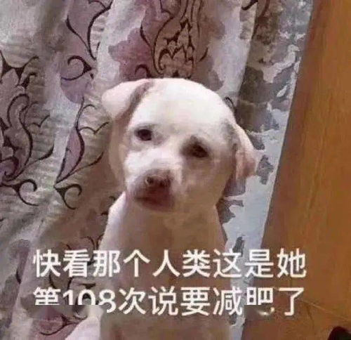 你瞅啥图片搞笑表情包快上