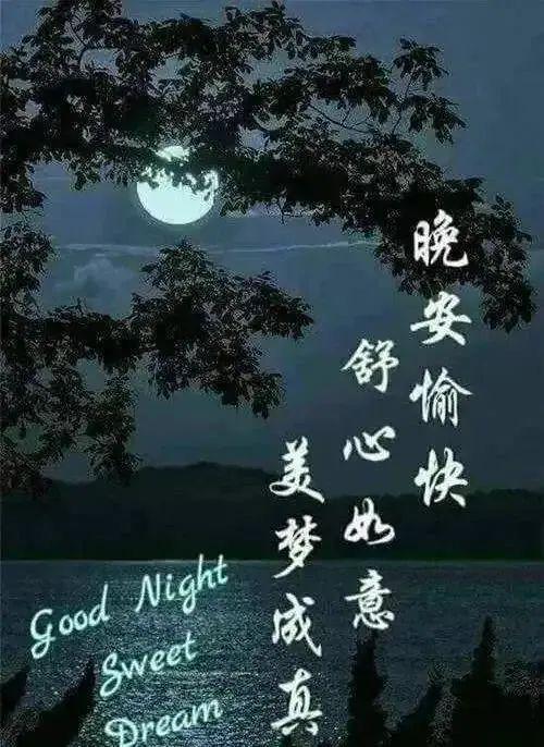 动画表情问候语温馨晚安