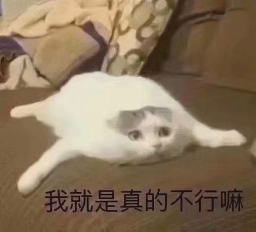 送你最新表情包图片,别生气了