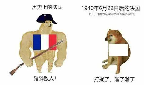 出兵乌克兰法国人没信心军队肥胖率赶超美国,太胖打不动仗