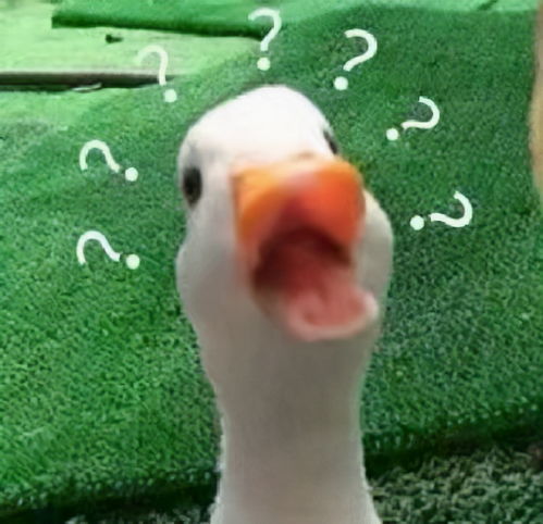 一脸懵比是什么意思,一脸懵比表情包