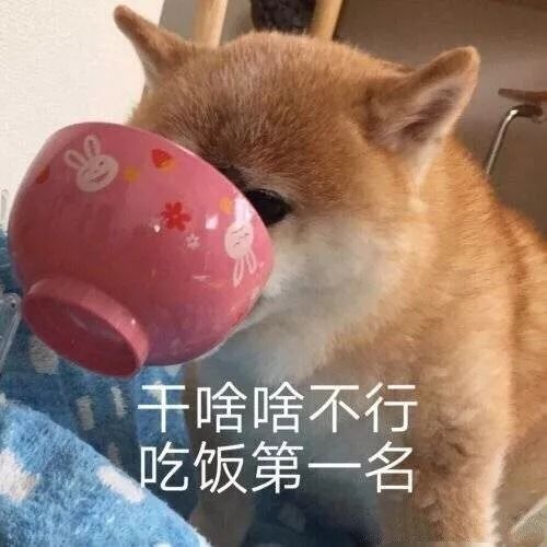 哎嘿的表情包减肥
