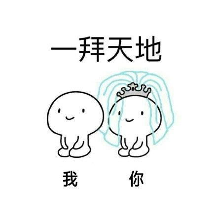 撩妹表情包你就嫁给我吧,你全家都同意了
