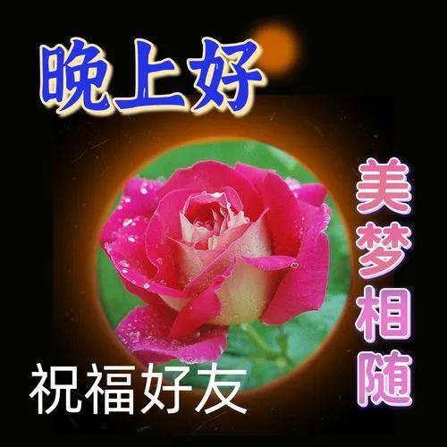 晚上好图片大全,晚上好祝福图片,晚安表情包,祝君好梦
