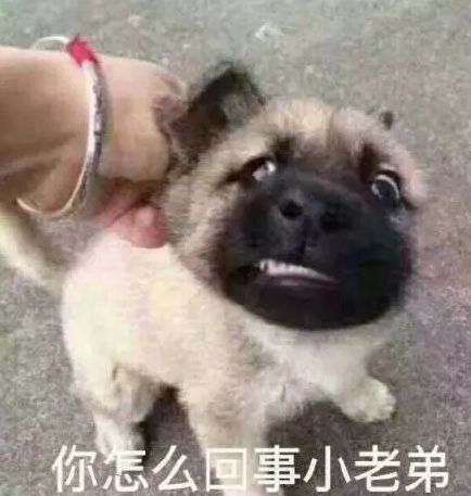 你最常用哪些有意思的表情包