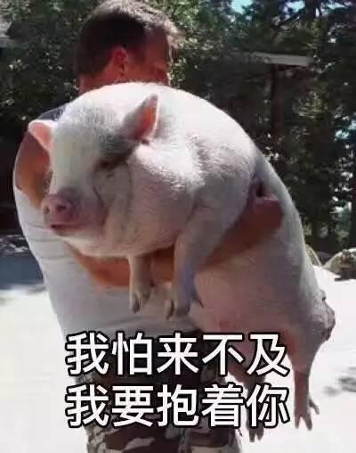 揭棺而起全套表情包防疫