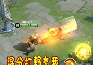 混分英雄哪家强辅助有庄周,法师有妲己,上单有李信,那打野呢