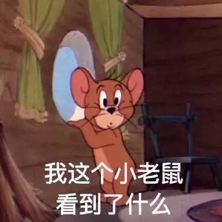 今日份表情包
