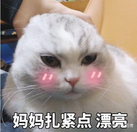 2020年高性价比电动牙刷推荐6月更新