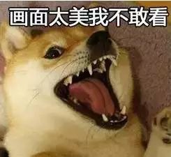 安检这些趣事儿,你有没有碰到过