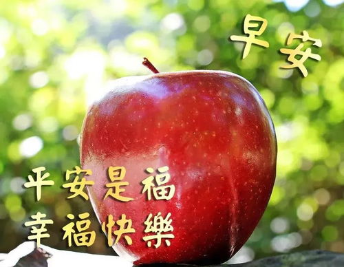 微信早安问候祝福语动画表情动态图片,温馨早安问候语图片带字