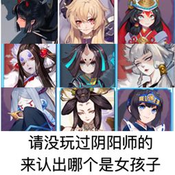 这题好难啊