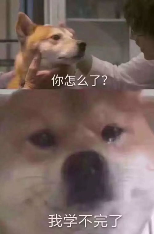 拾趣记论如何从小测试扯到期末复习