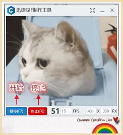 微信7.0.6版本新功能绝了,有了这个黑科技,斗图再也没输过腾讯新闻