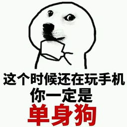 工程人忧虑,原来大家都在经历