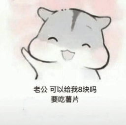 老公老婆日常聊天表情包,情侣必备