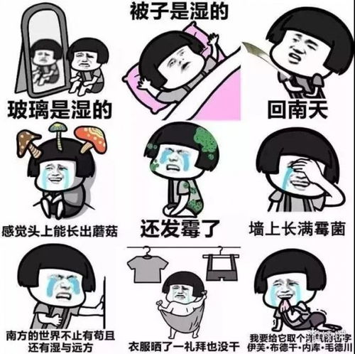 回南天表情包有哪些回南天表情包图片大全