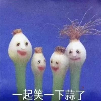 超火搞笑蒜了表情包图片高清无水印免费分享app下载超火搞笑蒜了表情包图片高清无水印免费分享手机版下载v1.0