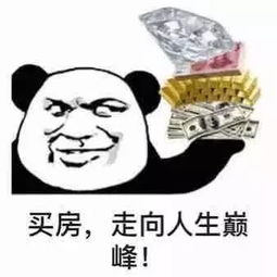 熊猫头炫富表情包一名贫困群员路过