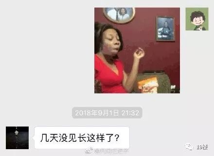 微信聊天不要轻易发表情给父母哈哈哈你根本不知道将会发生什么