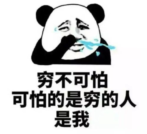 贫穷限制了我的想象力哈哈哈