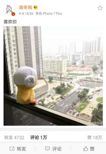 周冬雨一心恋多人表白赵丽颖马思纯还有它