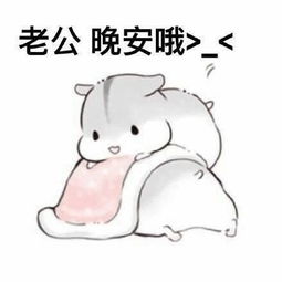 情侣聊天最实用小仓鼠表情包