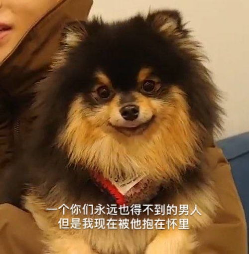 码