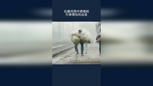在暴风雨中艰难前行表情包的出处