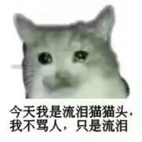 上吐槽大会是真吐槽,还是假性情