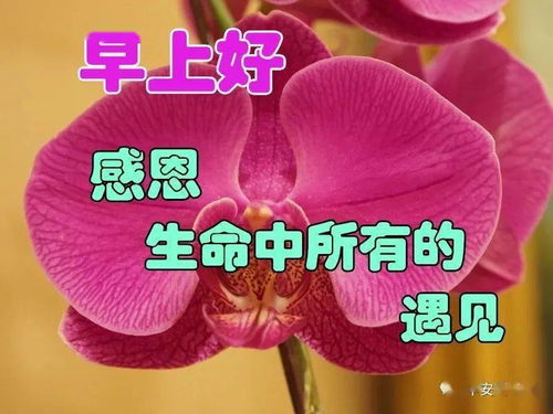 微信早安表情图片早安
