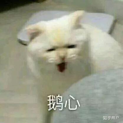 龙丹妮为什么这么多人不喜欢她