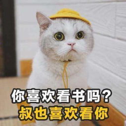 学到就是赚到表情包合集分享