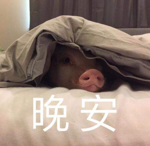 晚安表情包可爱撩人gif动态图片大全高清无水印完整版分享app下载晚安表情包可爱撩人gif动态图片大全高清无水印完整版分享下载v1.0