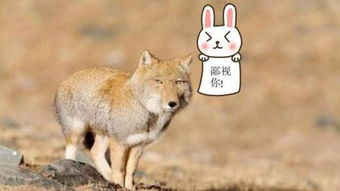 一见你就笑全集