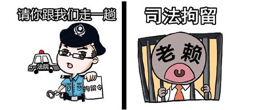 执行专属表情包来袭萌图细说执行干警日常点滴