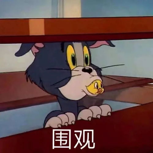 表情包大兄弟,喜脉啊