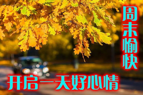 朋友圈早晨好祝福语图片早晨聊天表情包套图2019