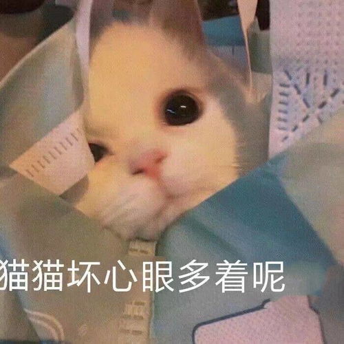理,娃衣价只会越卷越高