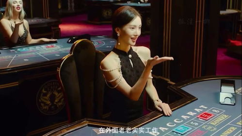 孤注一掷张艺兴金晨身陷网络诈骗集团