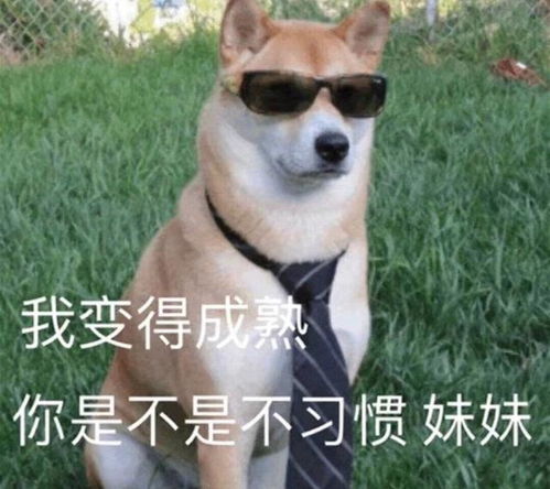 在8090后的小时候有过哪些神奇的误解